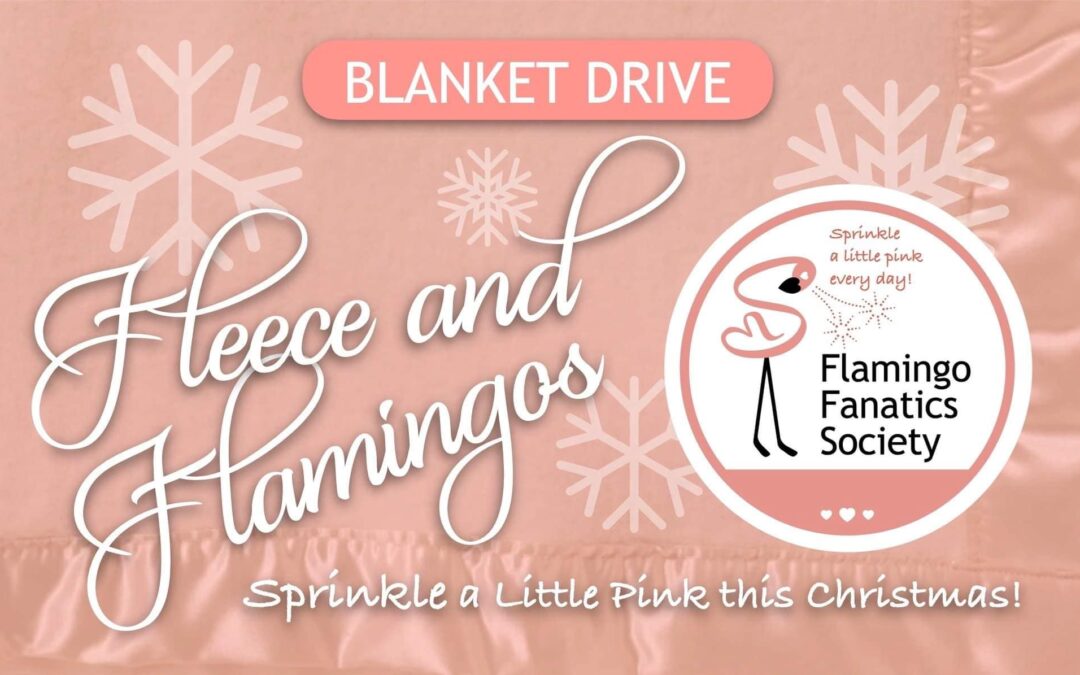 Fleece & Flamingo Blanket Drive