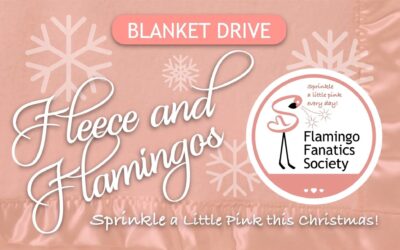 Fleece & Flamingo Blanket Drive