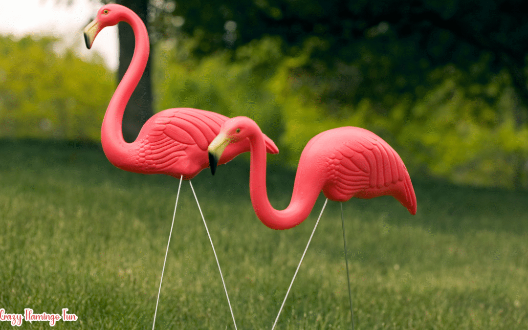 The History of the Lawn Flamingo